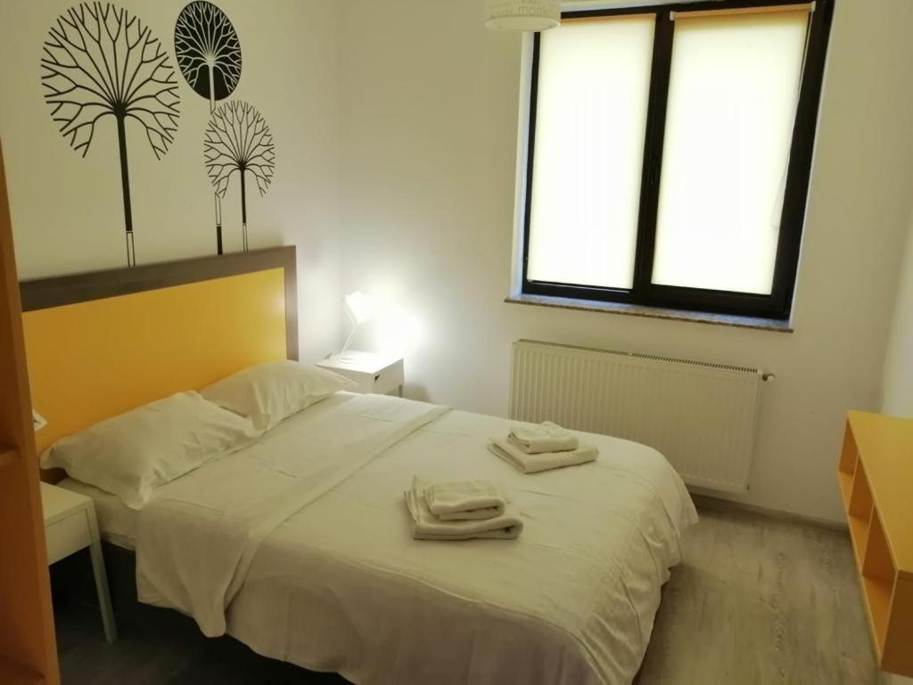 Cozy Accommodation Central City - Iasi Bagian luar foto