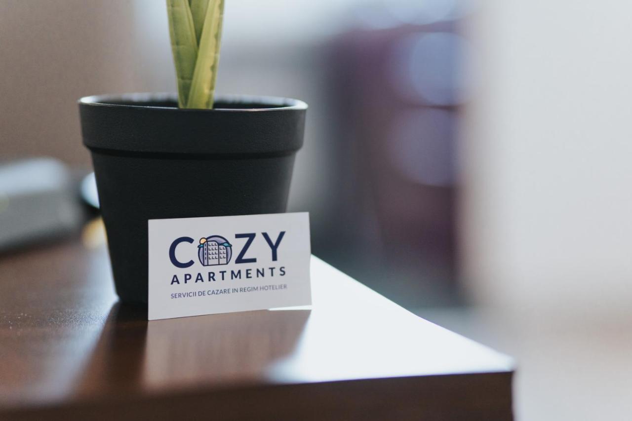 Cozy Accommodation Central City - Iasi Bagian luar foto